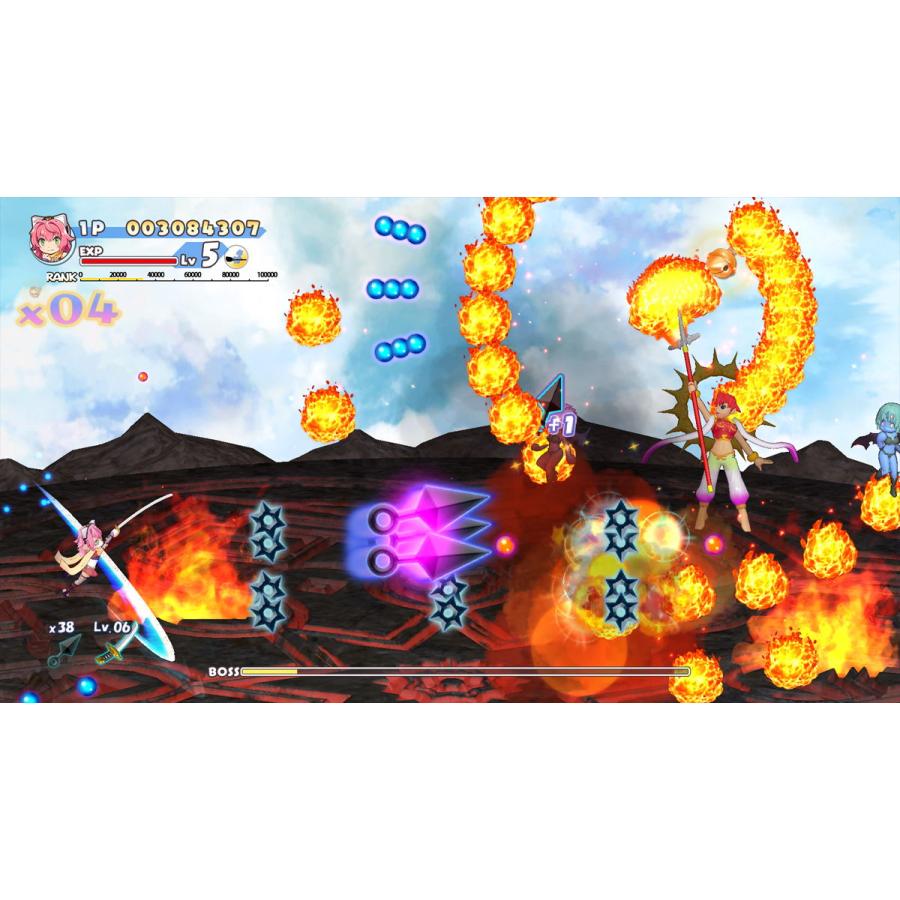 サクセス (Switch2)コットン ロックウィズユー コットンシリーズ35周年