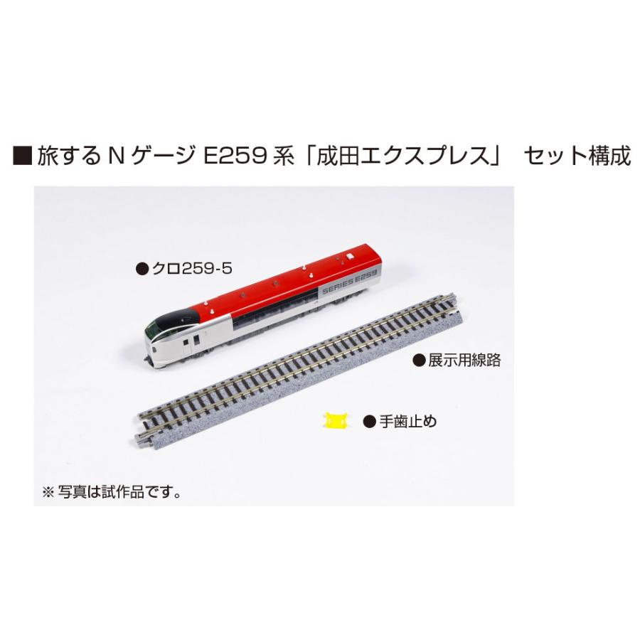 カトー（KATO） (N) 12-011 旅するNゲージ E259系「成田エクスプレス