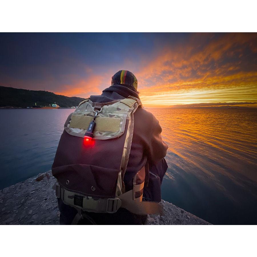 ゼクサス LEDミニライト フラッシャーライト 180ルーメン(ブラック) ZX