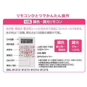 DAIKO ダイコー 12畳〜14畳用 LEDシーリングライト(カチット式 DAIKO ダイコー 12畳〜14畳用 LEDシーリングライト(カチット式