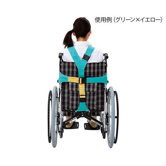 FOOTMARK（フットマーク） 車いす用ワンタッチベルト(グリーン
