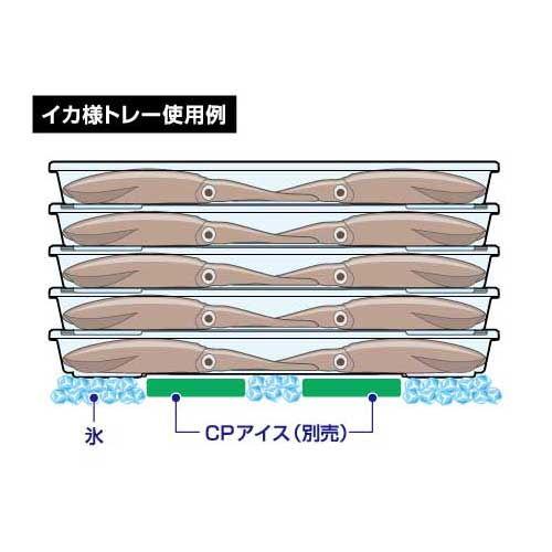 DAIWA（ダイワ） イカ様トレーAL(M) 3枚セット 返品種別A : Joshin web