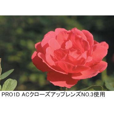 ケンコー PRO1D ACクローズアップレンズ No.3 67mm PRO1デジタルPX3 67S 返品種別A｜joshin｜03