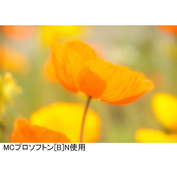ケンコー MC プロソフトン[B]N 効果強タイプ (58mm) MC PRO ソフトンB N 58S 返品種別A｜joshin｜03