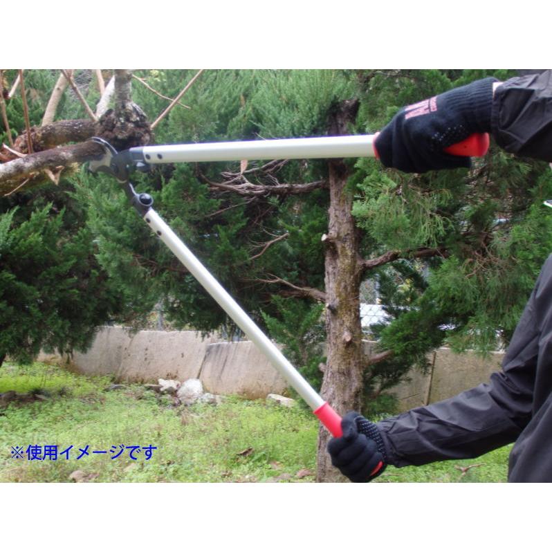 73%OFF!】アルスコーポレーション 太枝切鋏ロッパー L CORPORATION 刃長78mm ARS LPB-30L 返品種別B 農業用 アルスコーポレーション 太枝切鋏ロッパー L 刃長78mm ARS CORPORATION LPB-30L 返品種別B