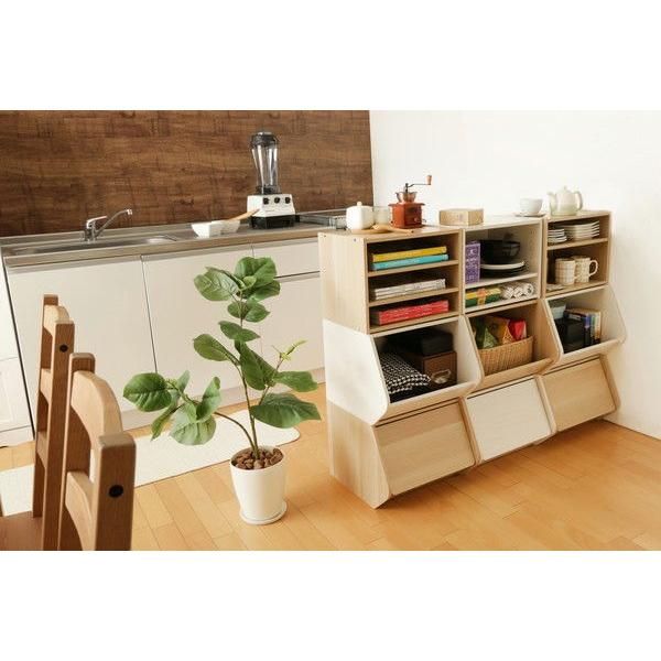 IRIS OHYAMA（アイリスオーヤマ） スタックボックス 扉付き(オフ