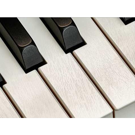 CASIO カシオ 電子ピアノ(ブラックウッド調)(高低自在椅子 CASIO カシオ 電子ピアノ(ブラックウッド調)(高低自在椅子