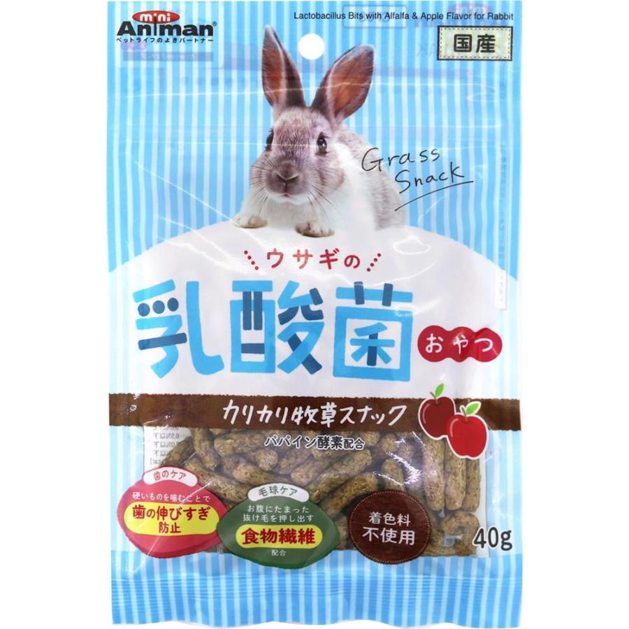 ウサギの乳酸菌おやつ カリカリ牧草スナック 40g ドギーマンハヤシ 返品種別B
