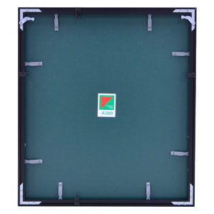 FUJIFILM（フジフイルム） フジカラー アルミ額縁 A300 4切(ブラック