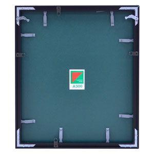FUJIFILM（フジフイルム） フジカラー アルミ額縁 A300 6切(ブラック