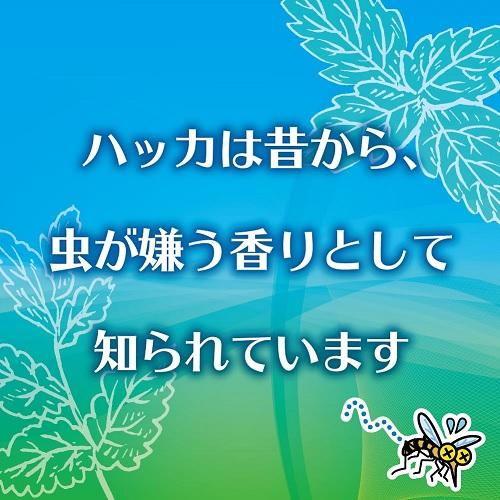 お肌の虫よけ プレシャワーDF ミスト プラスハーブ 100mL キンチョウ 返品種別A｜joshin｜04