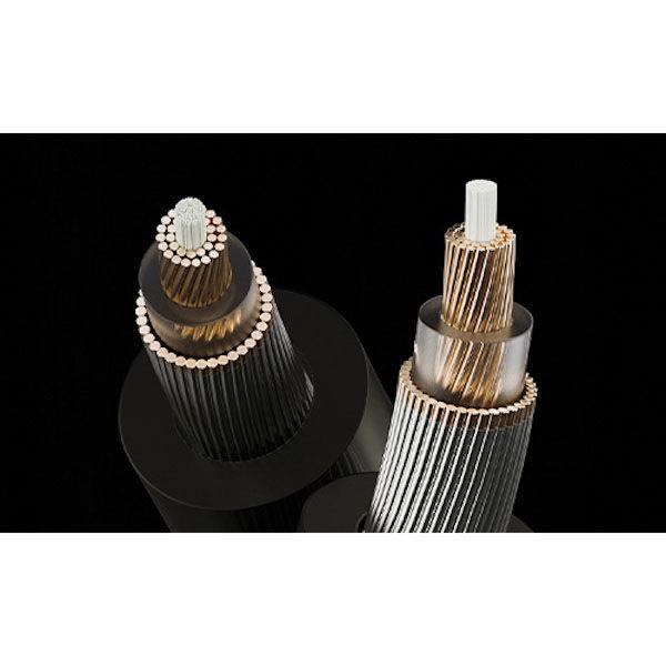 HiBy Music ダイナミック密閉型カナルイヤホン Project Ace JP