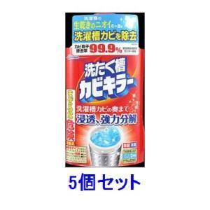 洗たく槽カビキラー 550g 5個セット ジョンソン 返品種別a 特価