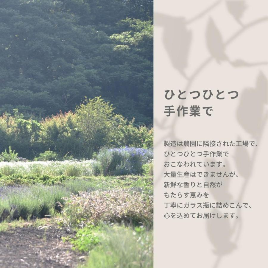 【送料無料】《ダマスク ローズの香り》化粧水 ミスト 自然由来指数99.8  jote sharp３（ ヨーテ シャープ 3 ）Mist |  | 12