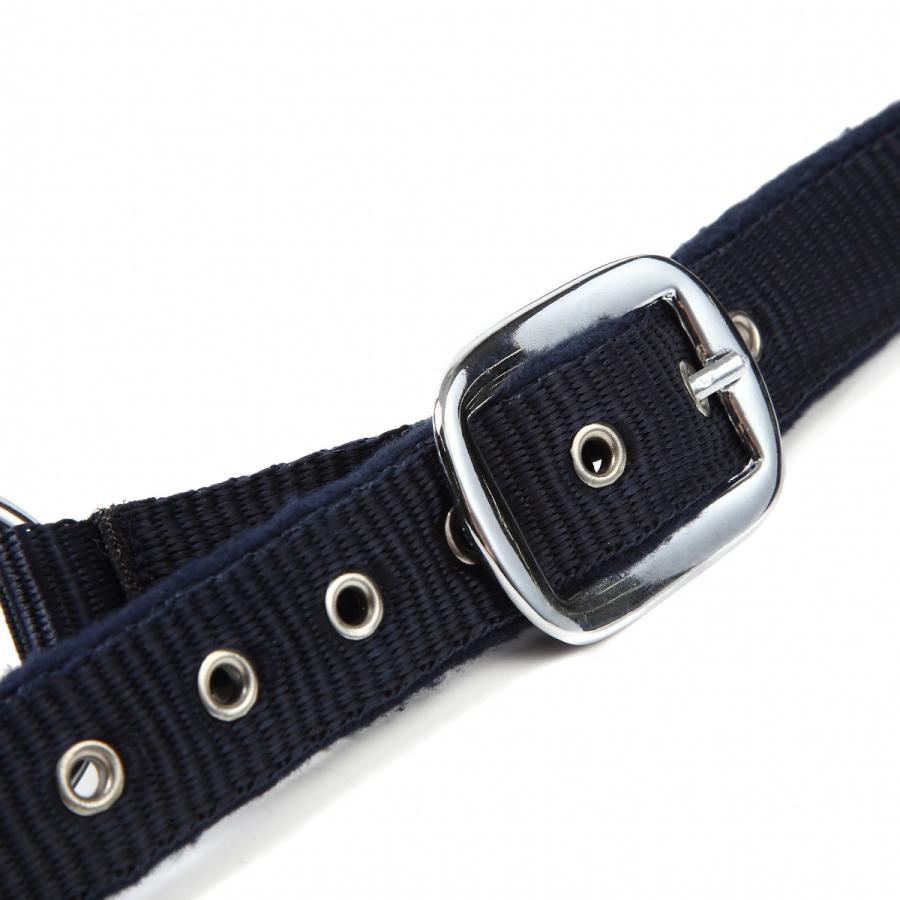乗馬用品 JODHPURS シンプル無口 グレー 乗馬 馬具 乗馬 乗馬用品 JODHPURS チェーン付きリードロープ グレー 乗馬 馬具