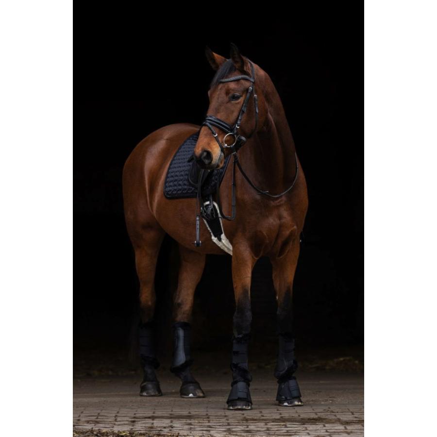 乗馬用品 Covalliero サドルパッド ブラック 乗馬 馬具 : 乗馬用品専門