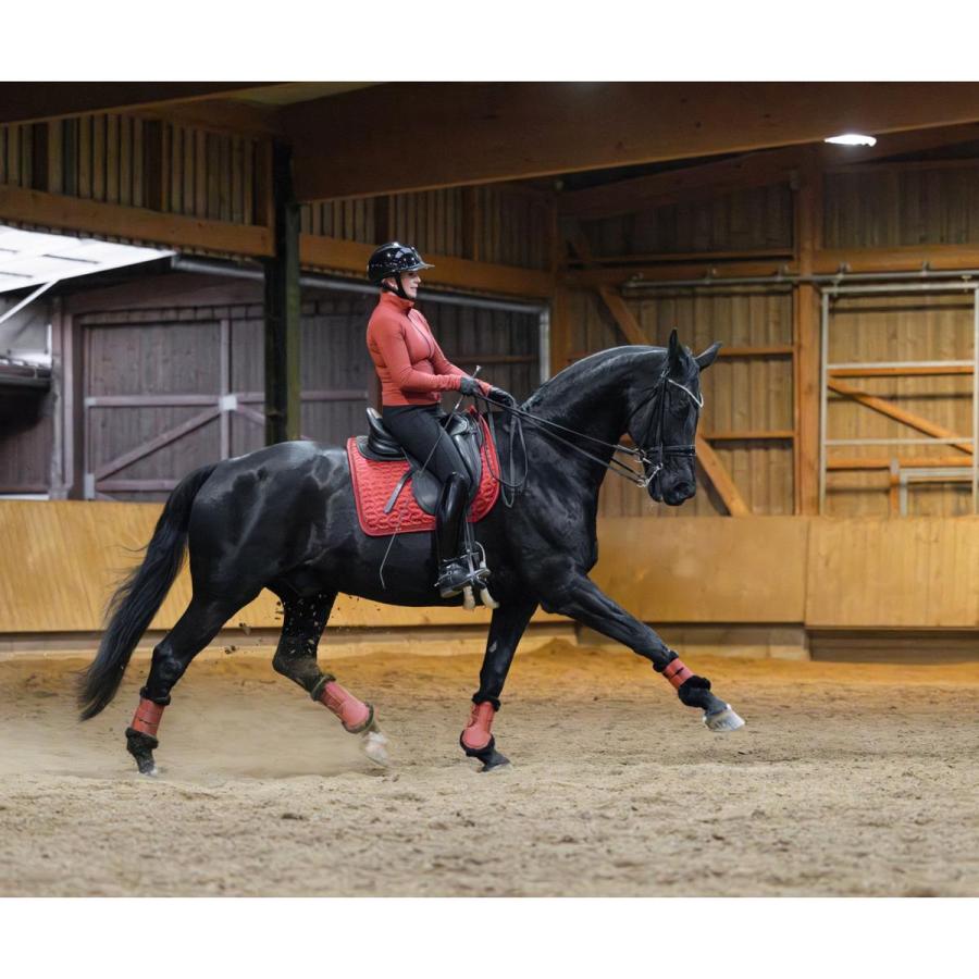 乗馬用品 Covalliero '25-26AWコレクション ソフト プロテクター（左右