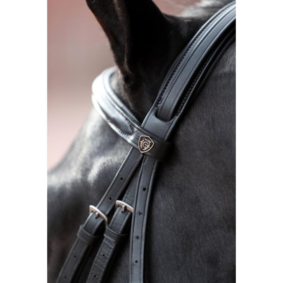 乗馬用品 Covalliero カンクン クロス鼻革 水勒頭絡 セット