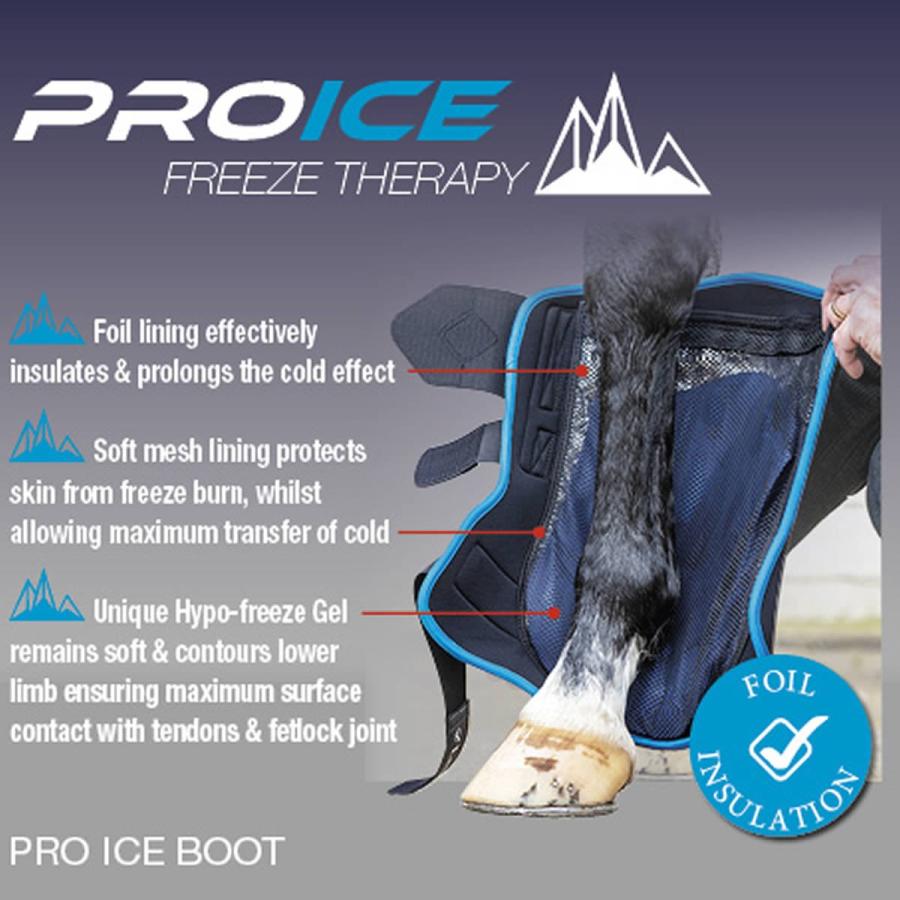 【値下げ】 乗馬用品 LeMieux プロアイス フリーズ ブーツ（左右1セット） 乗馬 馬具 【O2875860080】(14950円)