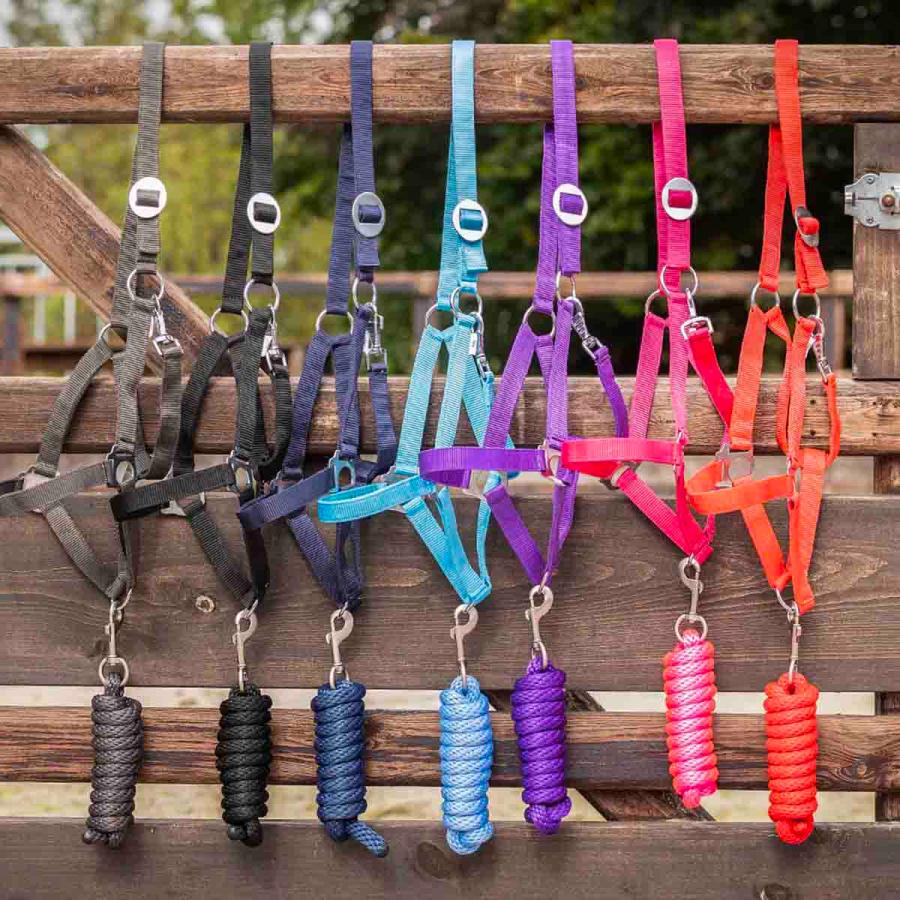 乗馬用品 QHP スライド 無口 オレンジ ※曳手は付属しません 乗馬 馬具