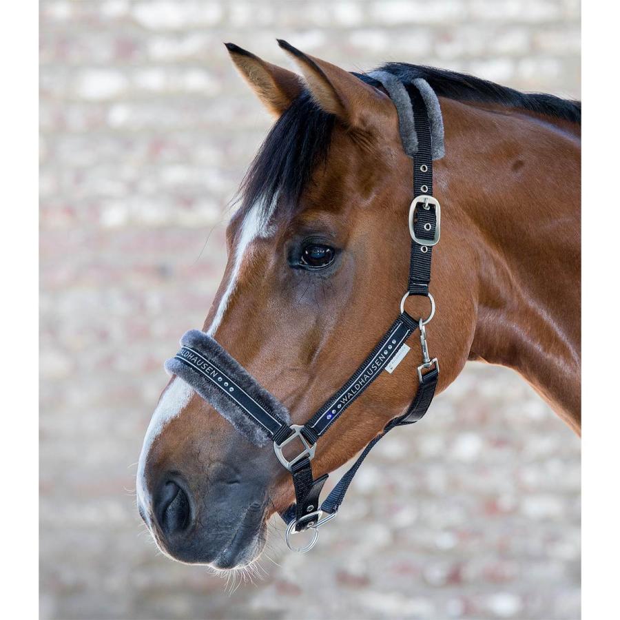 83%以上節約乗馬用品 JODHPURS シンプル曳き手 乗馬 グレー 馬具 乗馬 乗馬用品 JODHPURS チェーン付きリードロープ グレー 乗馬 馬具