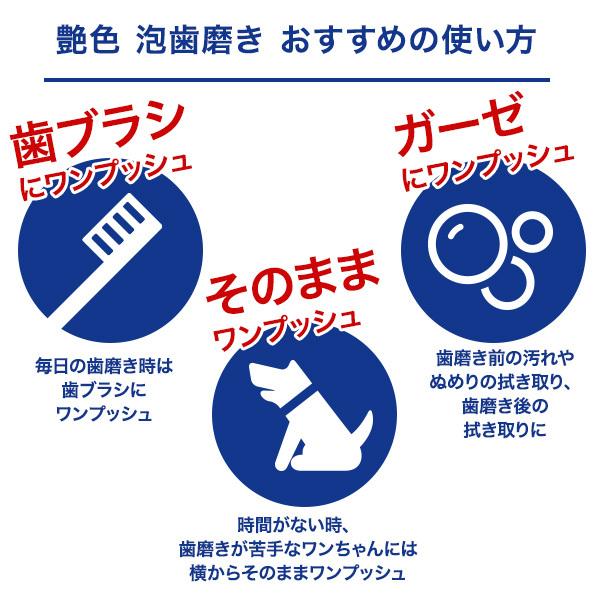 PURSUIT OF LOVE 艶色 泡歯磨き(詰め替え用) : ジュイール - 通販