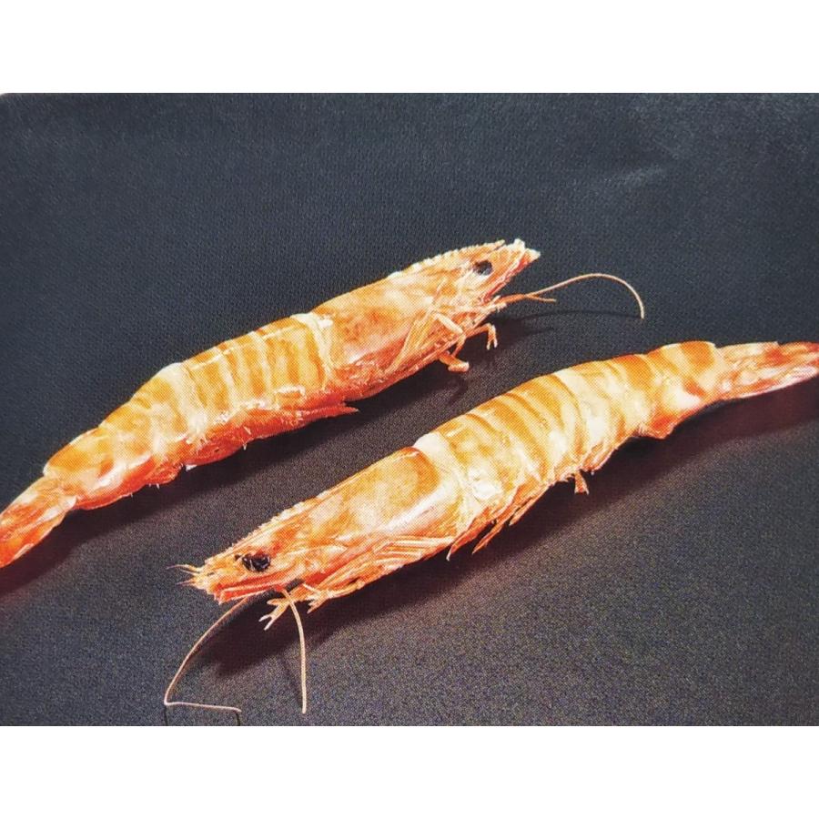 送料無料 ボイル有頭車海老 ケース販売 10尾 12bl入 業務用 18cm 人気 レシピ 生食可能 沸騰ブラドン