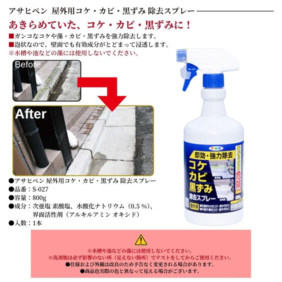 アサヒペン 屋外用 コケ・カビ・黒ずみ除去スプレー S-027 800g 外壁