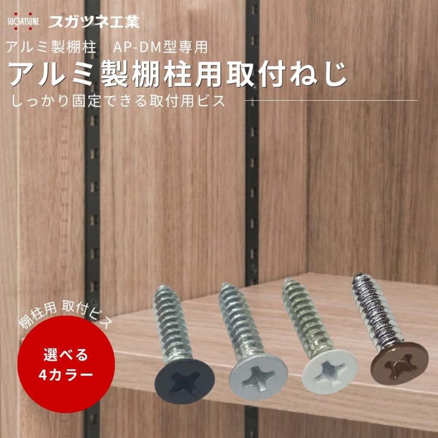 棚柱用 取付ビス 可動棚 DIY 壁面収納 スガツネ AP-SC3-16 全4色 棚
