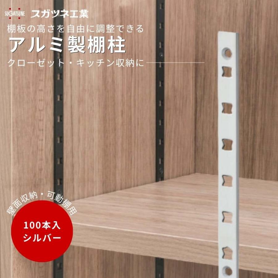 棚柱 可動棚 DIY 壁面収納 スガツネ AP-DM1820 1820mm アルミ製 棚柱