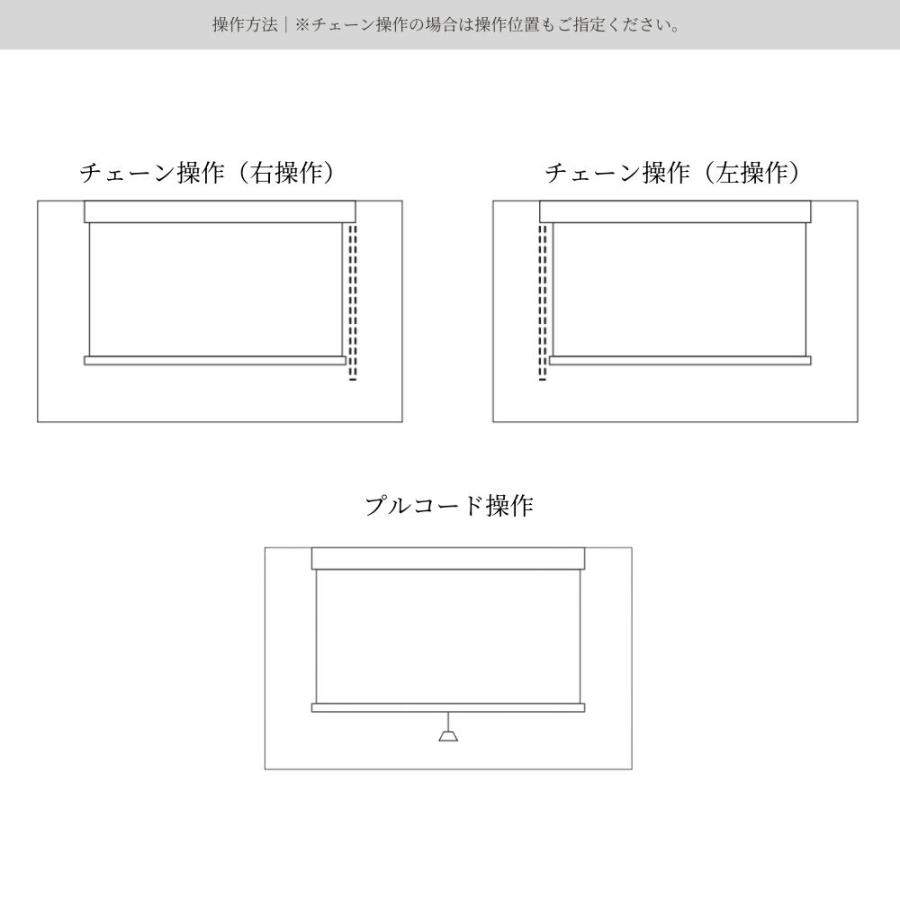 ロールスクリーン 標準仕様 ディオリア 遮光 幅181〜200cm×高さ121〜180cm オーダー1cm単位 立川機工 日本製 ロールカーテン_7