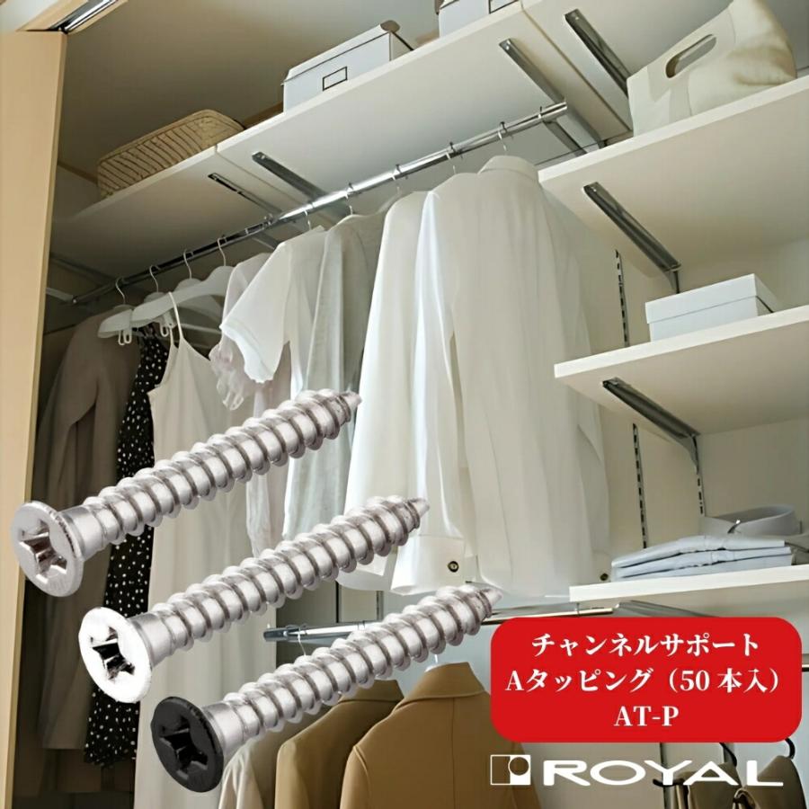 ROYAL ロイヤル チャンネルサポート用 Aタッピング AT-P 50本入 取付