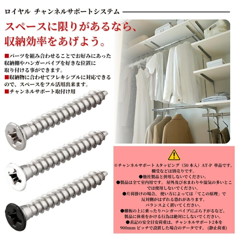 ROYAL ロイヤル チャンネルサポート用 Aタッピング AT-P 50本入 取付