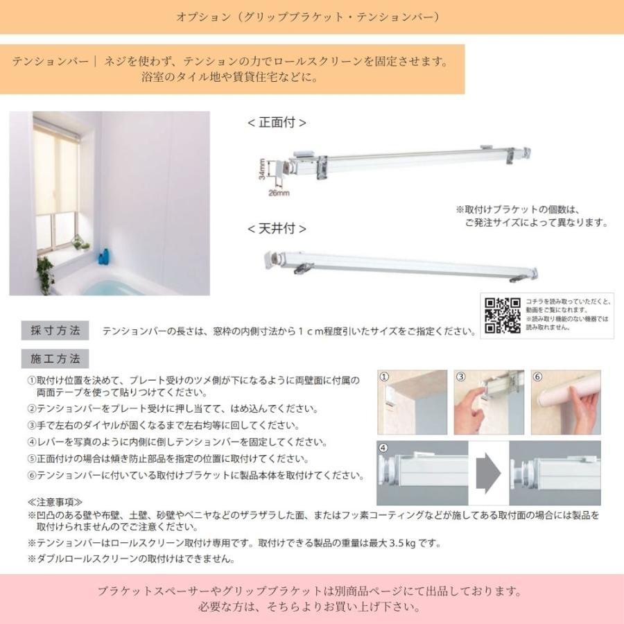 ロールスクリーン 標準仕様 ディオリア 遮光 ウォッシャブル 幅41〜60cm×高さ181〜200cm オーダー1cm単位 立川機工 日本製 ロールカーテン