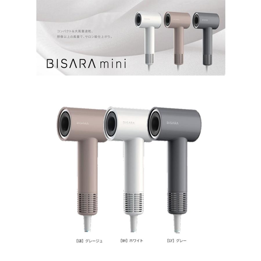 QUADS（クワッズ） BISARA mini ビサラ ミニ BLDCイオンドライヤー 大