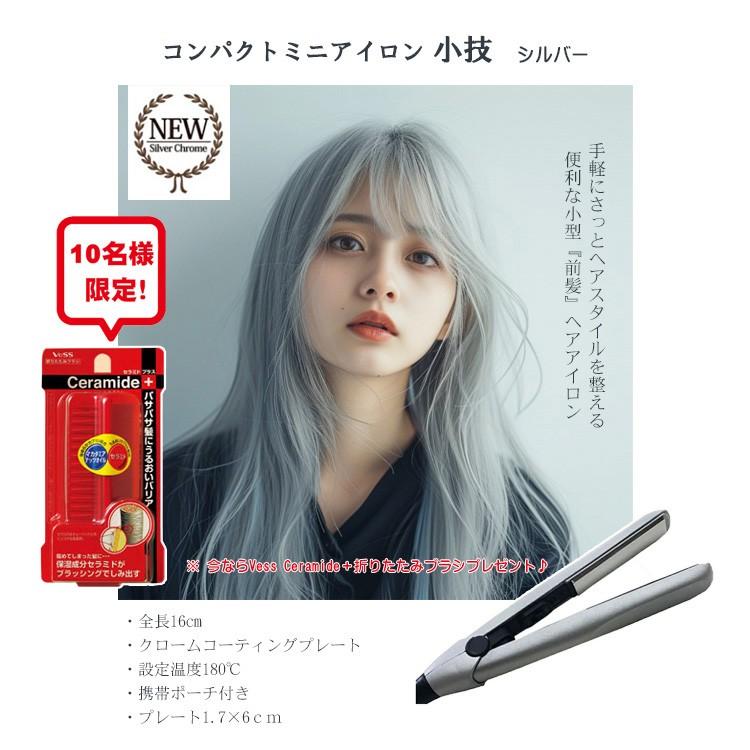 10名様限定！プレゼント付き☆コンパクト ミニヘアアイロン小枝 ポーチ