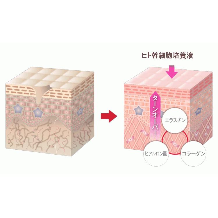 ☆エスク モイスチャーゲル 50g 美容液 オールインワンゲル ESC ゲル