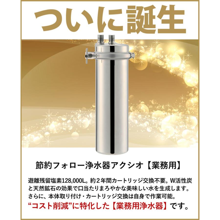 kassaさま専用ドリームバンクビューク8年交換不要浄水器　PFOS.PFO 61002】浄水器【ビューク】 浄水器 8年交換不要 逆流洗浄 【取付