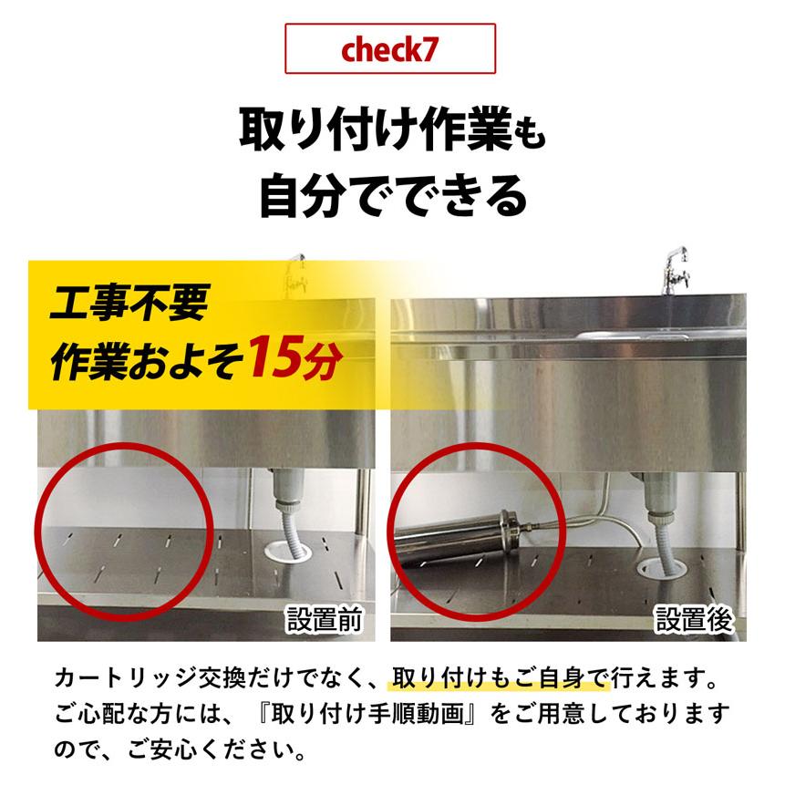 kassaさま専用ドリームバンクビューク8年交換不要浄水器　PFOS.PFO 61002】浄水器【ビューク】 浄水器 8年交換不要 逆流洗浄 【取付