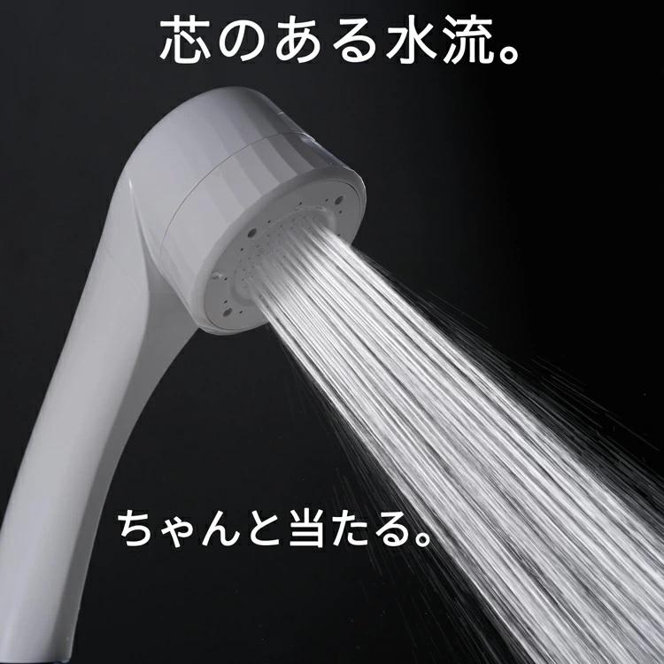 Dream Bank（ドリームバンク） ビューク 芯のある水流 シャワーヘッド