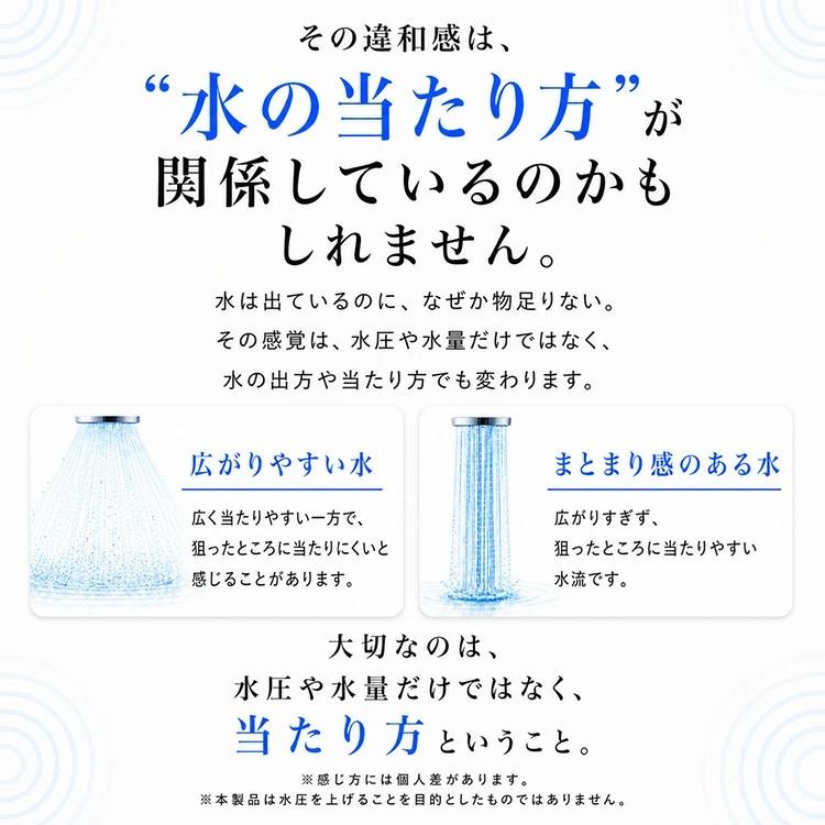 Dream Bank（ドリームバンク） シャワーヘッド ビューク 芯のある水流