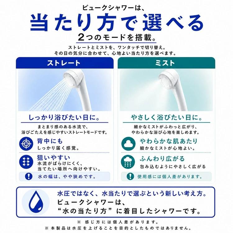Dream Bank（ドリームバンク） シャワーヘッド ビューク 芯のある水流