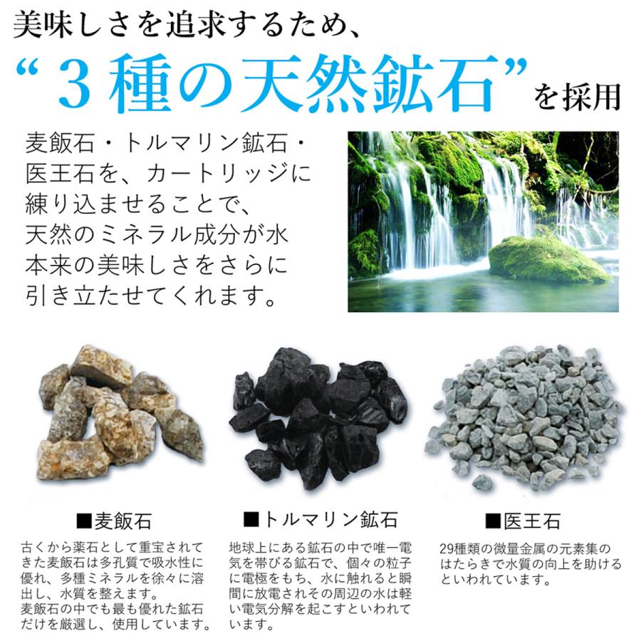 国産浄水器 製造直販 Dream Bank浄水器 約12年カートリッジ交換不要 ジョイスペース Joyspace 長寿命 ロングライフ 家庭用 塩素除去 据置型 長持ち 活性炭 カートリッジ 日本製 新生活 爆売り