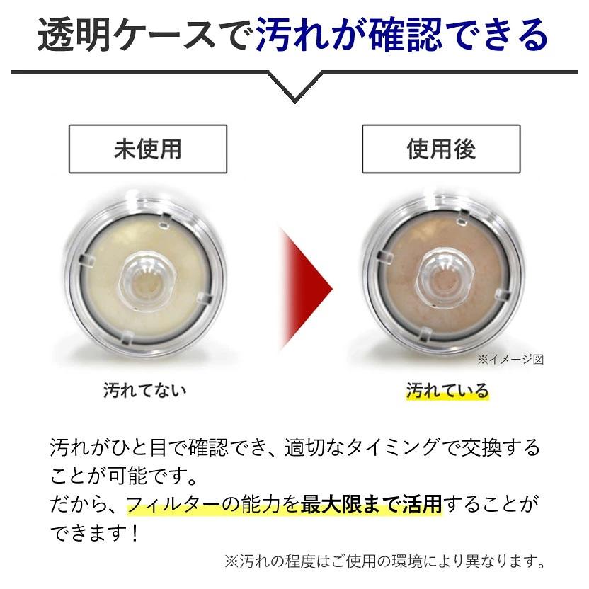 Dream Bank（ドリームバンク） 井戸水 浄水器 ビューク PFAS 除去試験