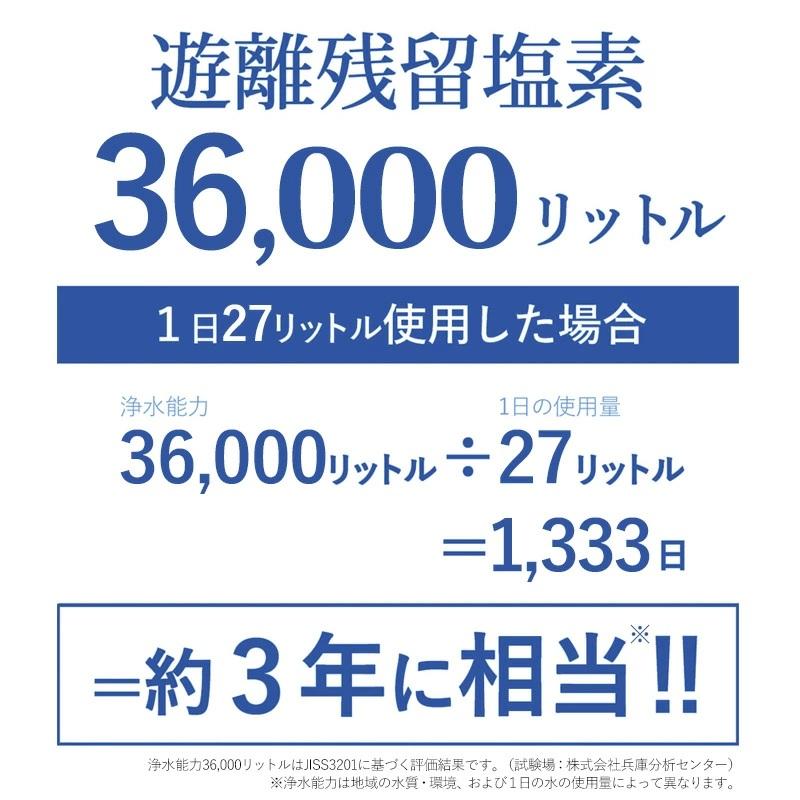 Dream Bank（ドリームバンク） 井戸水 浄水器 ビューク PFAS 除去試験