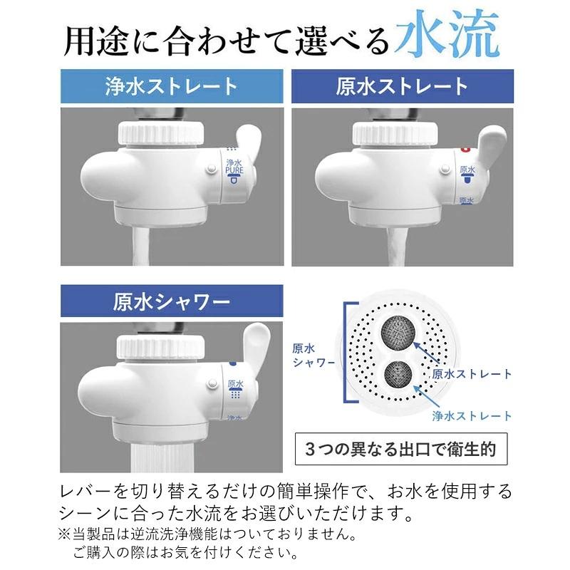Dream Bank（ドリームバンク） 井戸水 浄水器 ビューク PFAS 除去試験