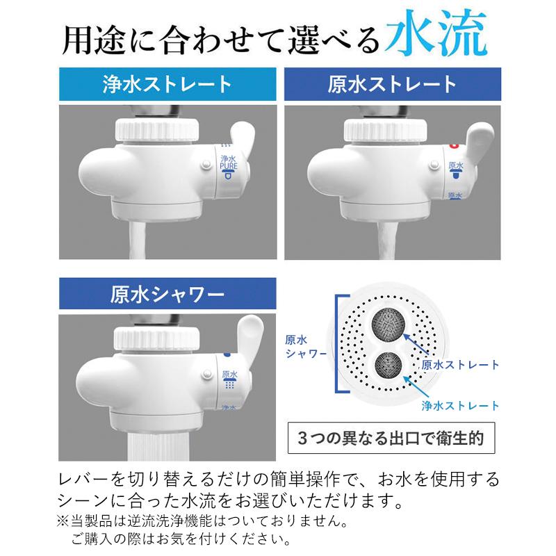 浄水器 井戸用 8年タイプ 井戸水 赤さび 対応 据置型 フッ素 浄水器 井戸用 8年タイプ 井戸水 赤さび 対応 据置型 フッ素
