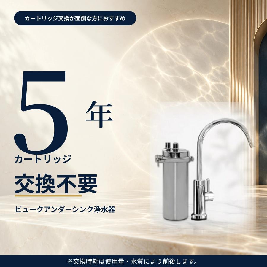 Dream Bank（ドリームバンク） アンダーシンク浄水器 専用水栓付 5年間