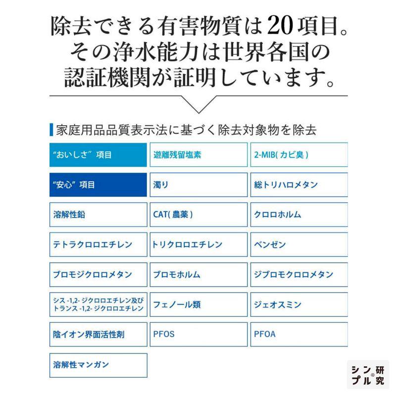 Dream Bank（ドリームバンク） アンダーシンク浄水器 専用水栓付 5年間