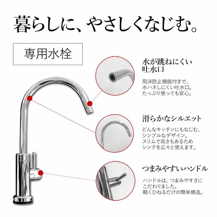 Dream Bank（ドリームバンク） アンダーシンク浄水器 専用水栓付 5年間